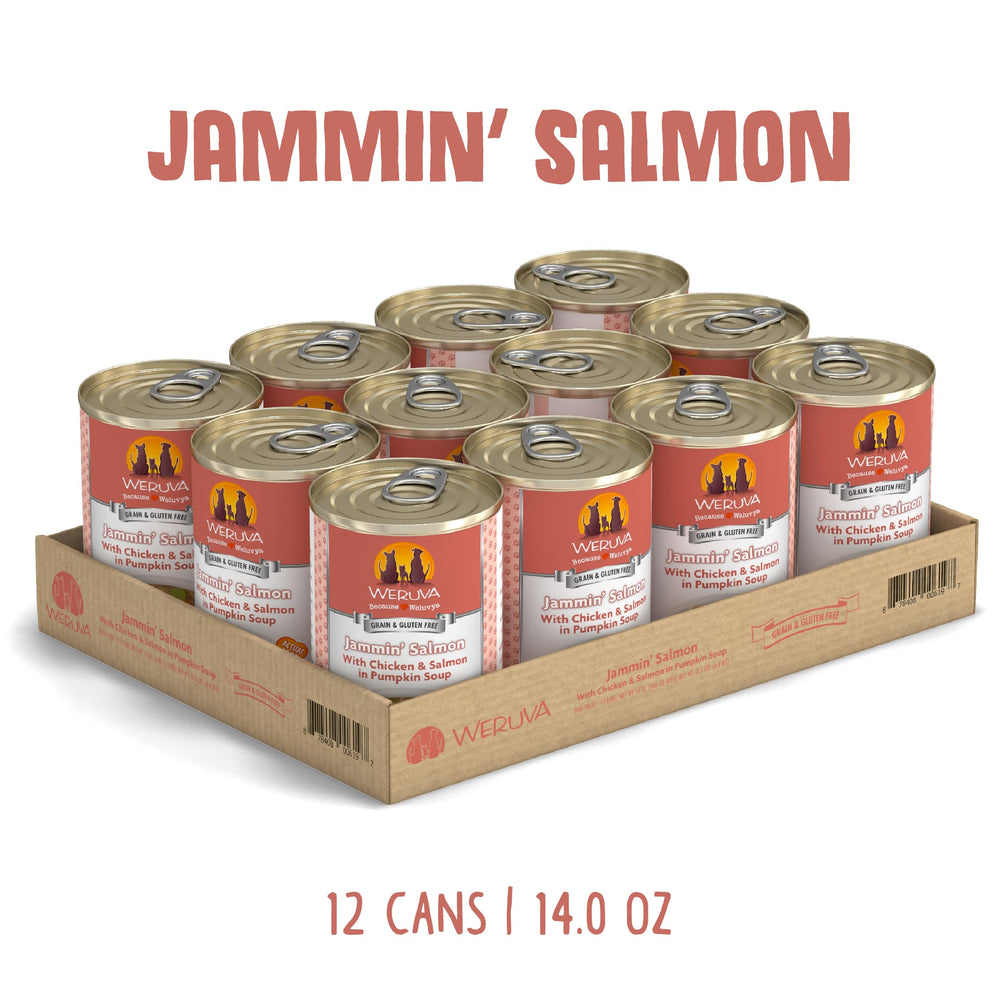 Weruva Classic Perro salmón con pollo en salsa, ingredientes visibles y digestión suave.