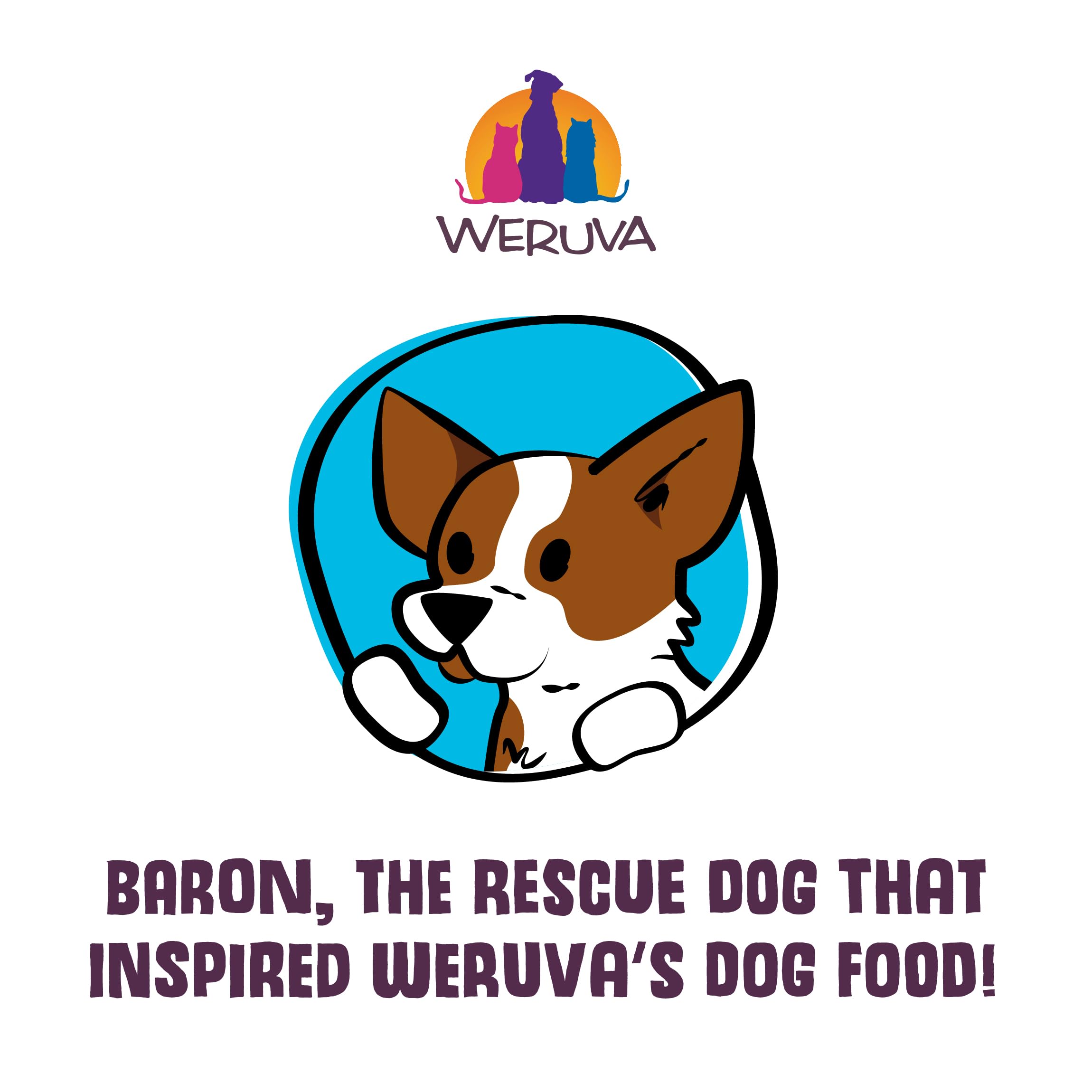 Weruva Bed & Breakfast para perros, desayuno jugoso que estimula el apetito.