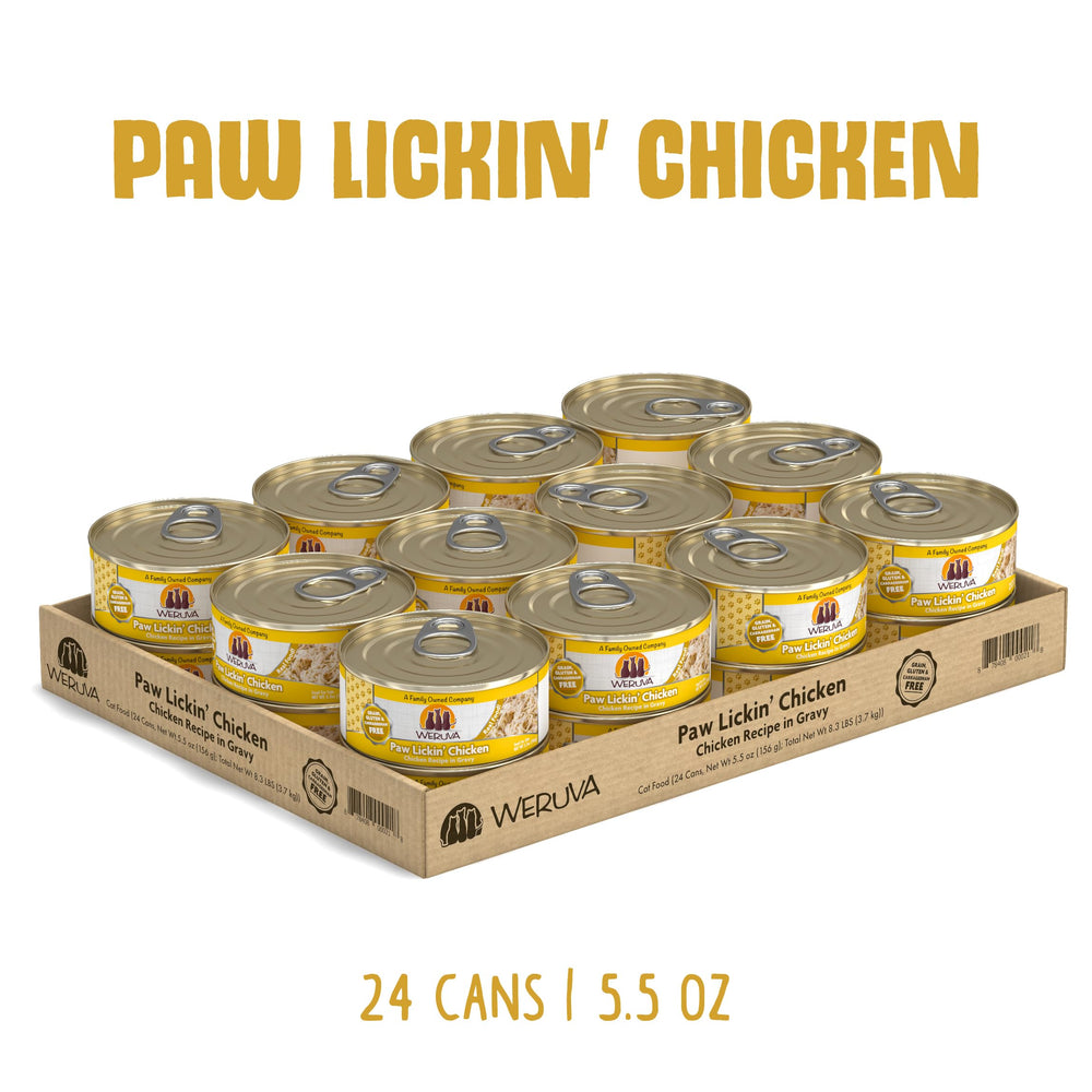 Gato disfruta Weruva en plato de lata con pollo