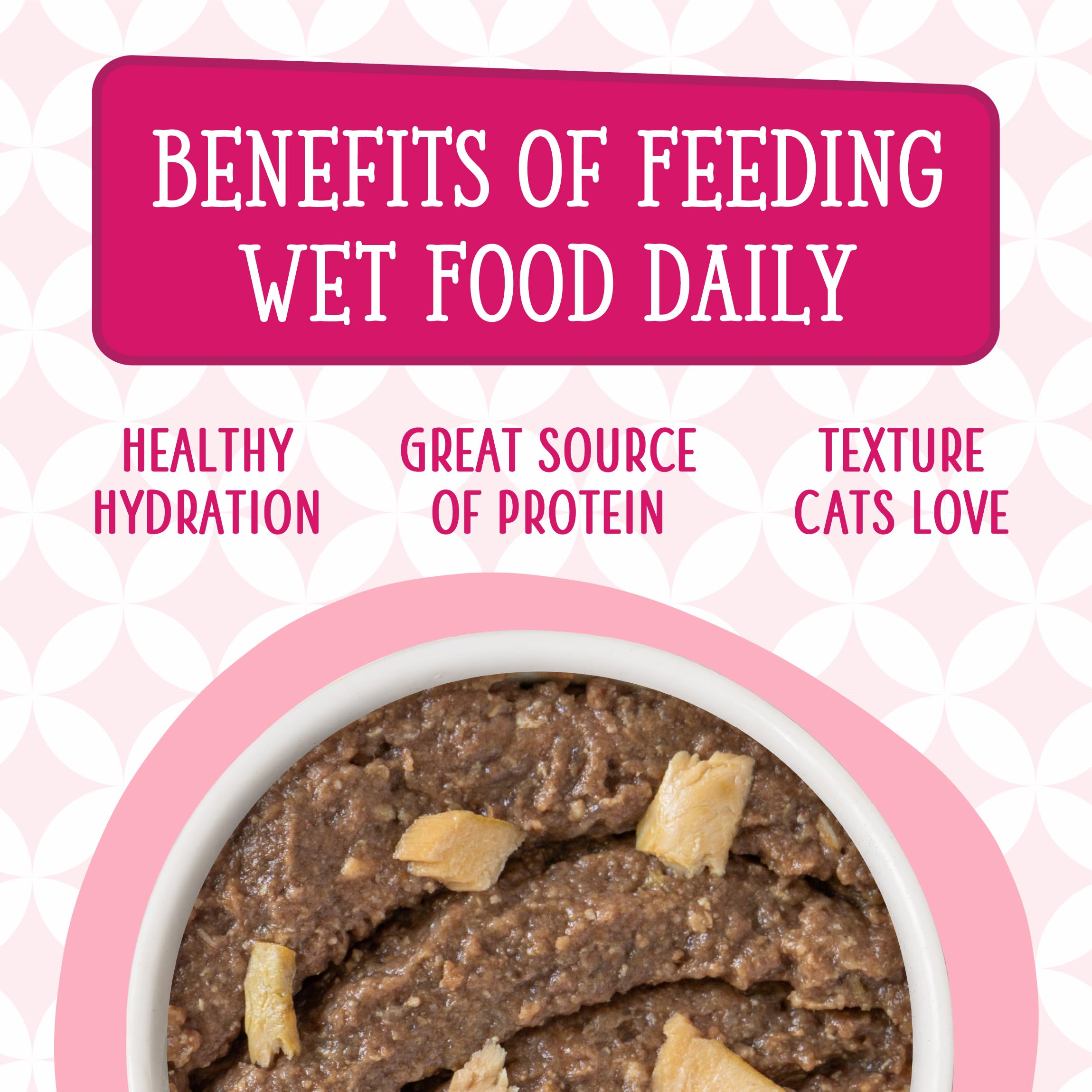 Weruva Karate Kitty Paté res y salmón, proteínas variadas.