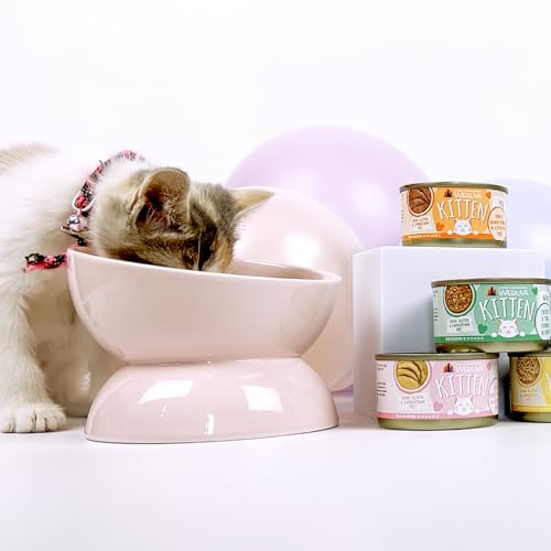Empaque práctico del pack Weruva Kitten para familias ocupadas.