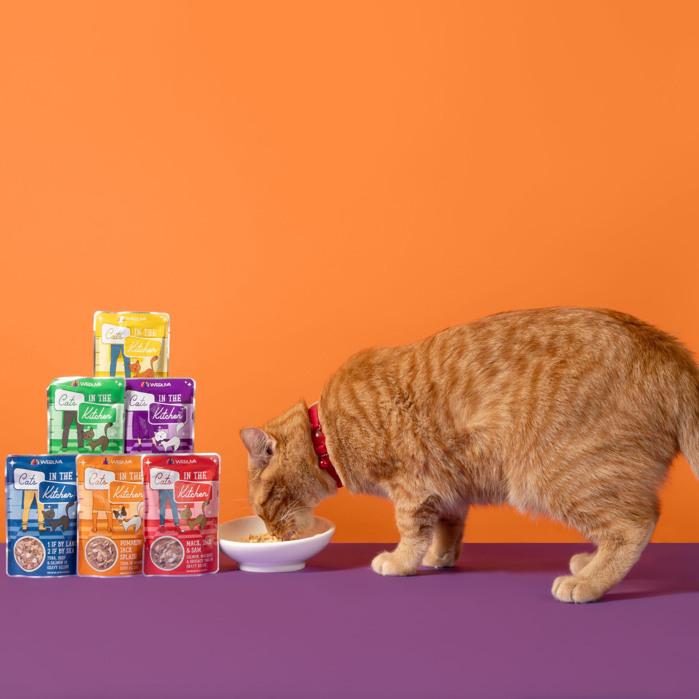 Vitamina y minerales añadidos en una dieta completa para gatos.