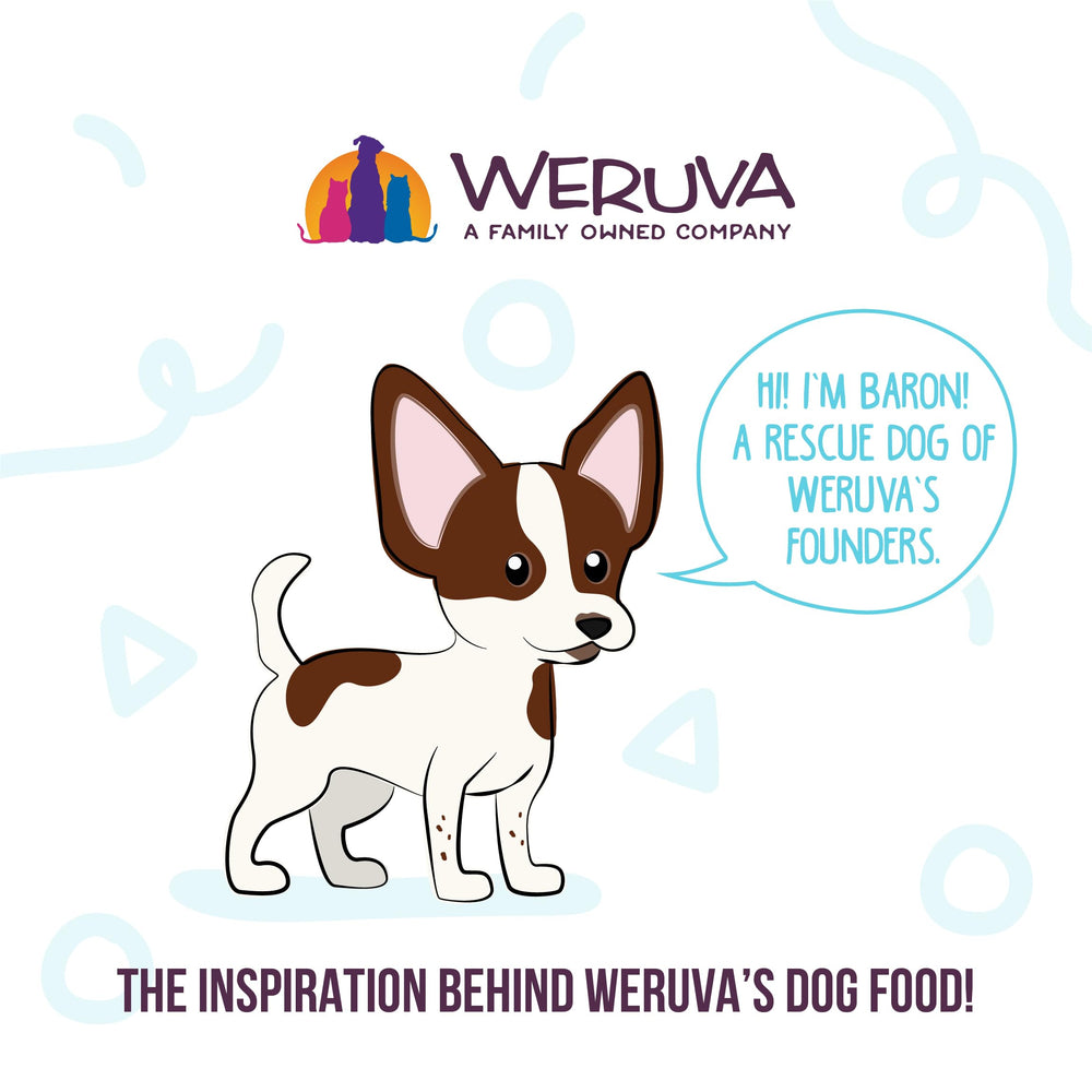 Weruva, hidratación diaria en taza 3.5oz, proteína de calidad para perros activos.