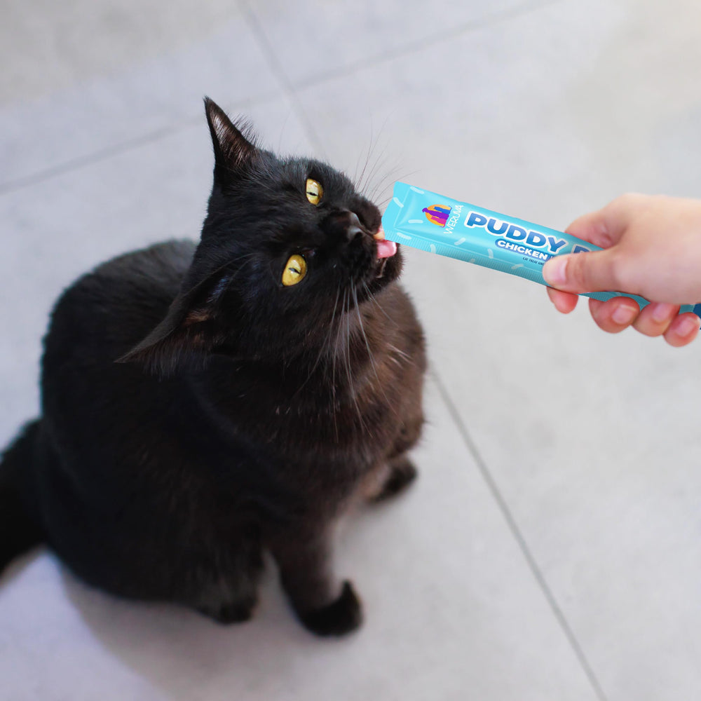 Cobertura para gatos, Puddy Pops fomenta hidratación y variedad diaria.