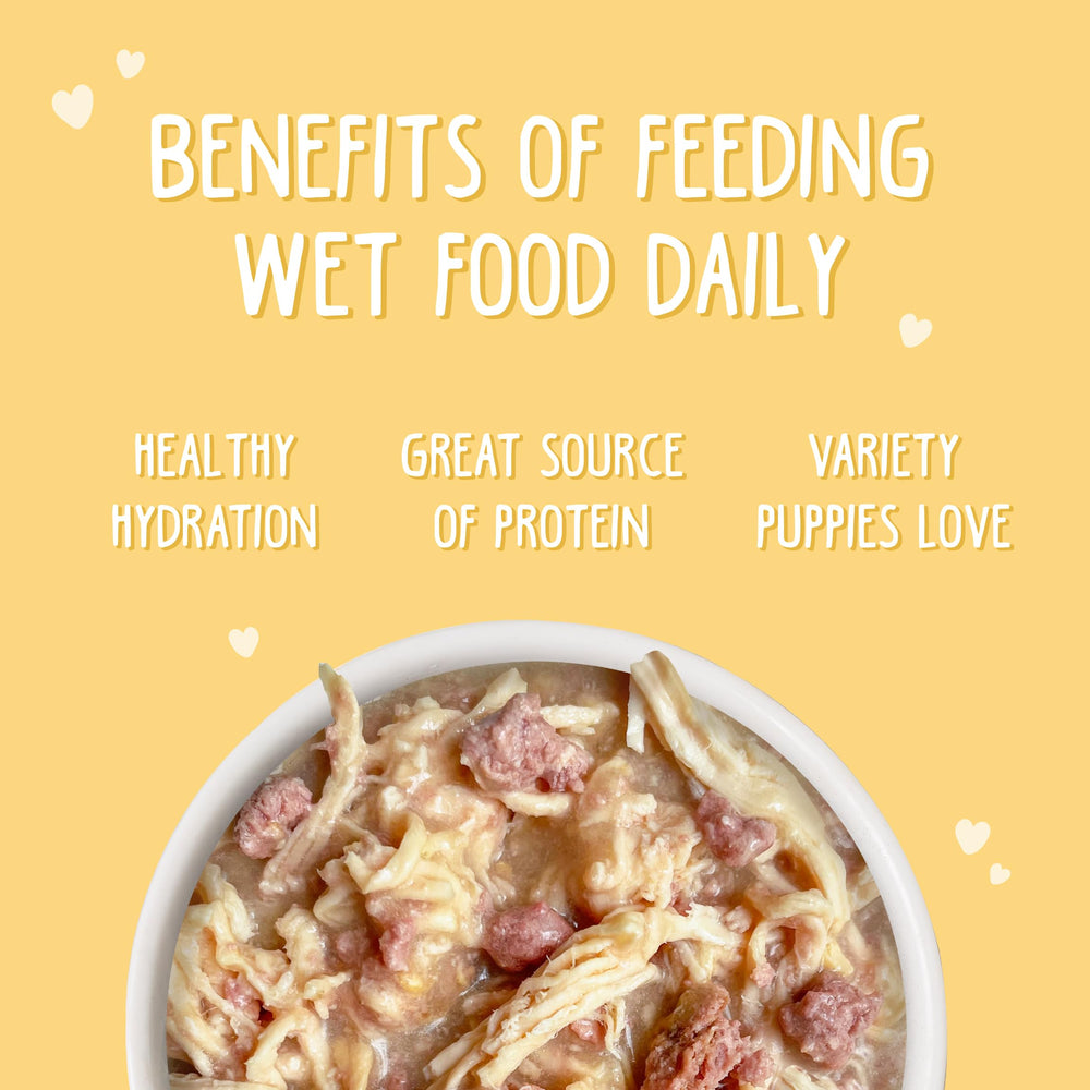 Weruva Puppy con omega-3 del aceite de pescado para desarrollo.