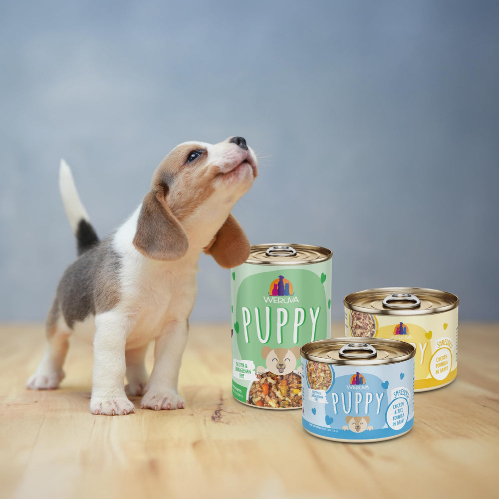 Pack de 10 latas Weruva Puppy para fácil almacenamiento