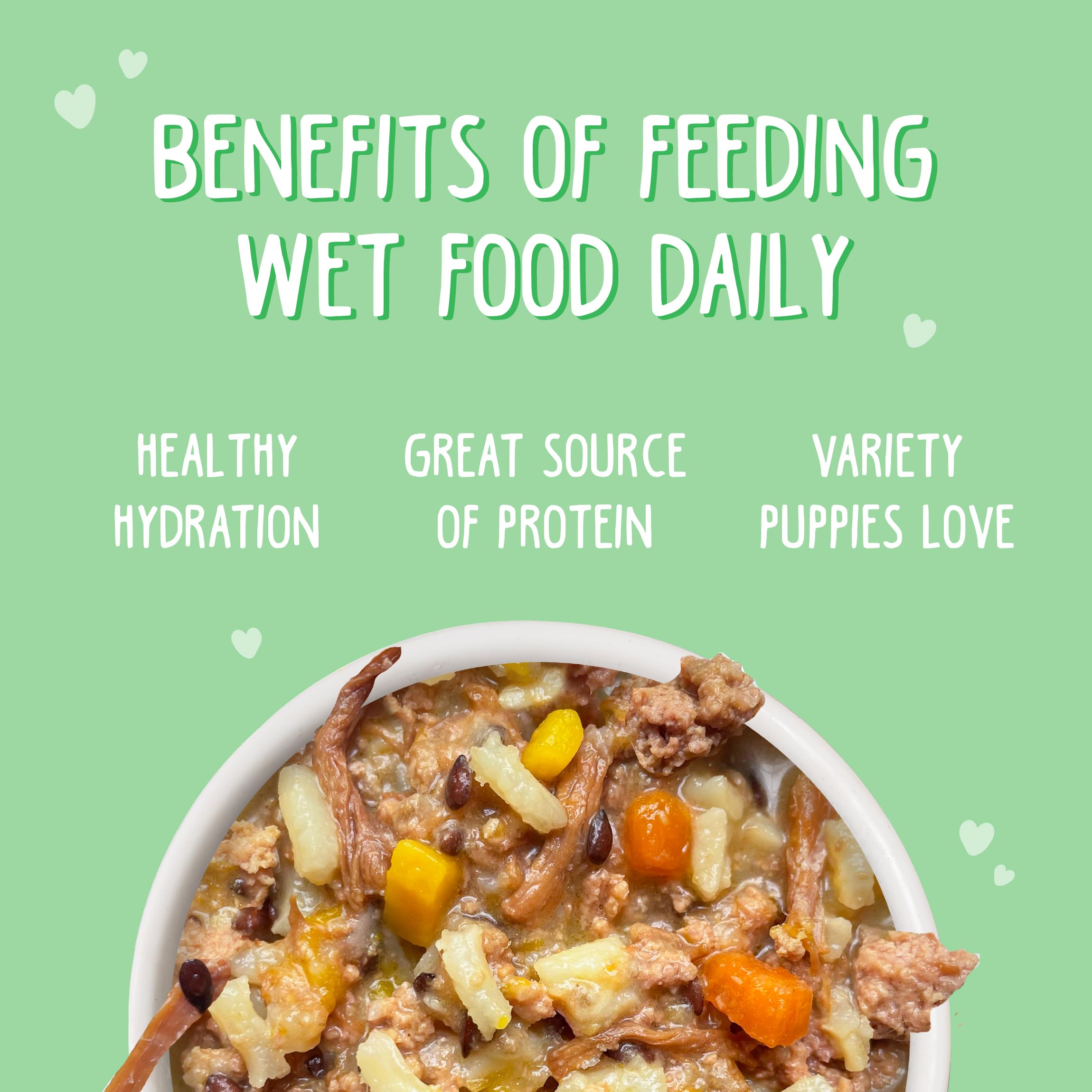 Weruva Puppy plato servido, trozos en salsa para una comida atractiva.