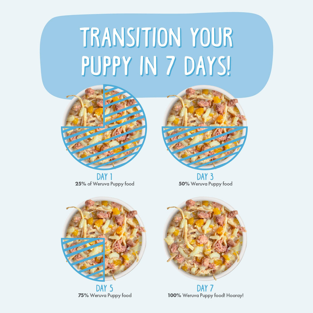Weruva Puppy pollo en salsa, fórmula balanceada para cachorros en crecimiento.