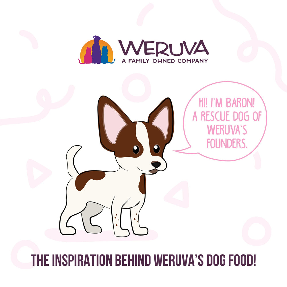 Weruva Wok The Dog Plus Digestive Support, proteínas de alta calidad en cada porción.