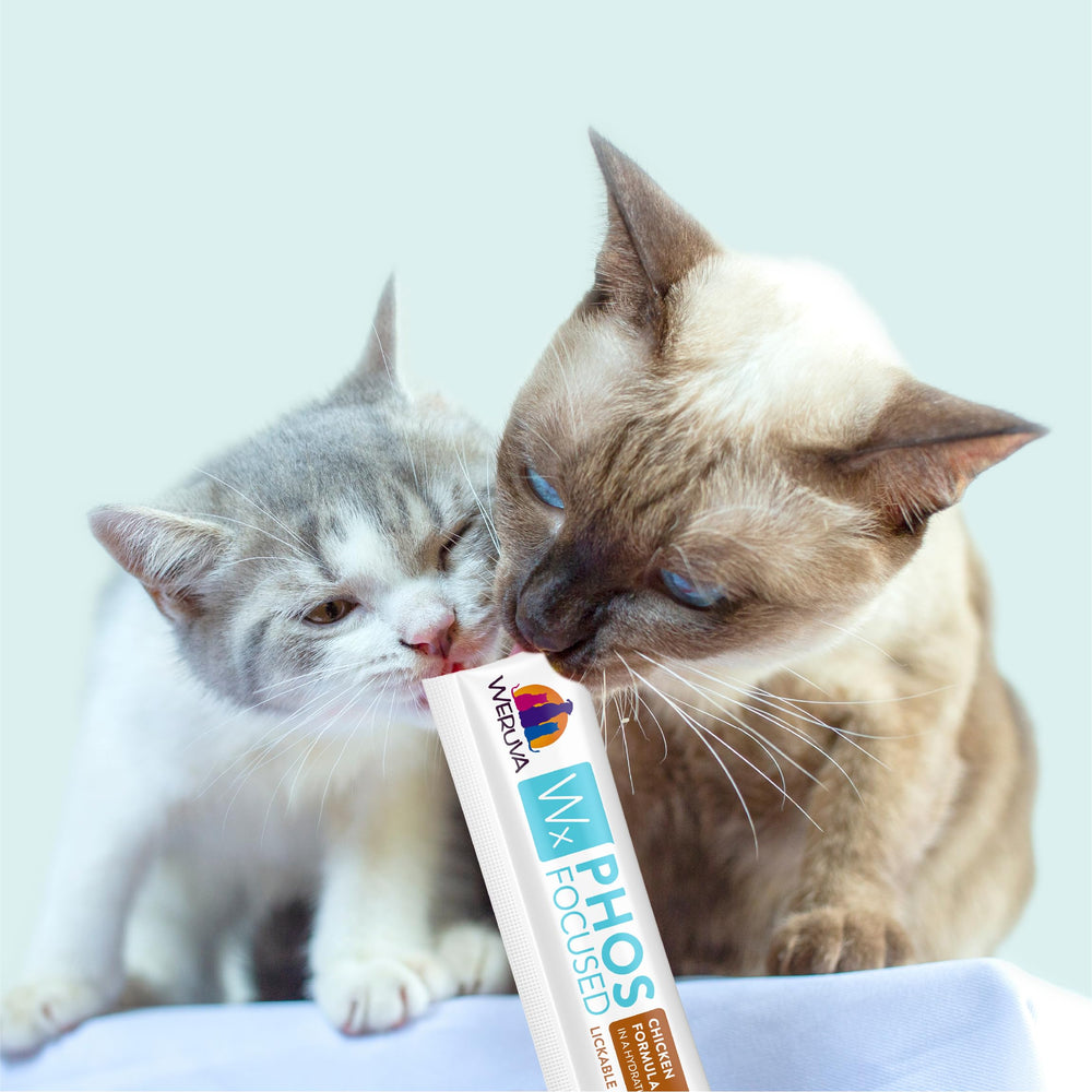 Weruva Wx Enfoque Fósforo, empresa familiar, cuidado por amantes de mascotas.