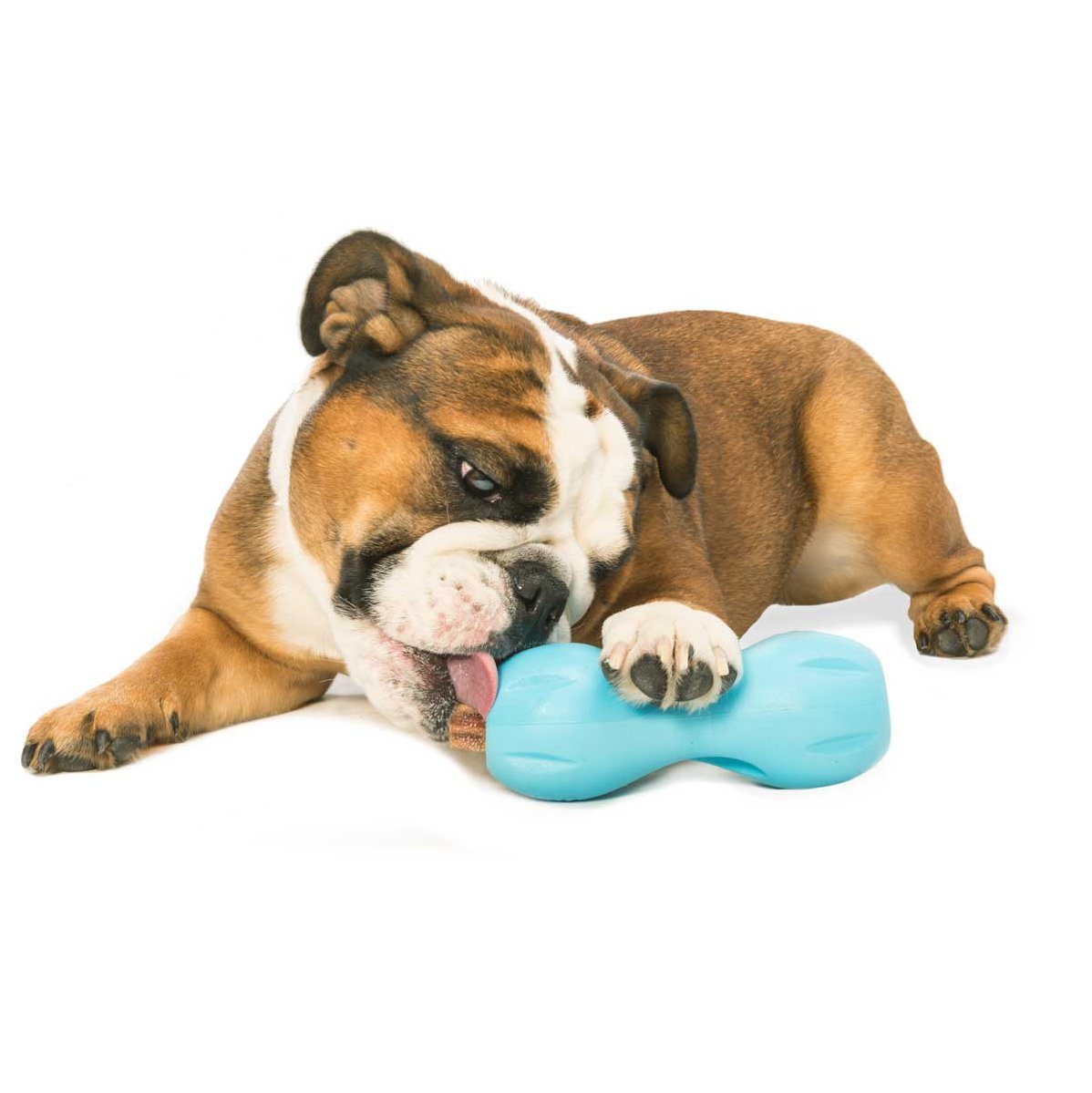 WEST PAW Qwizl, diseño de agarre con ranuras para manejo cómodo.
