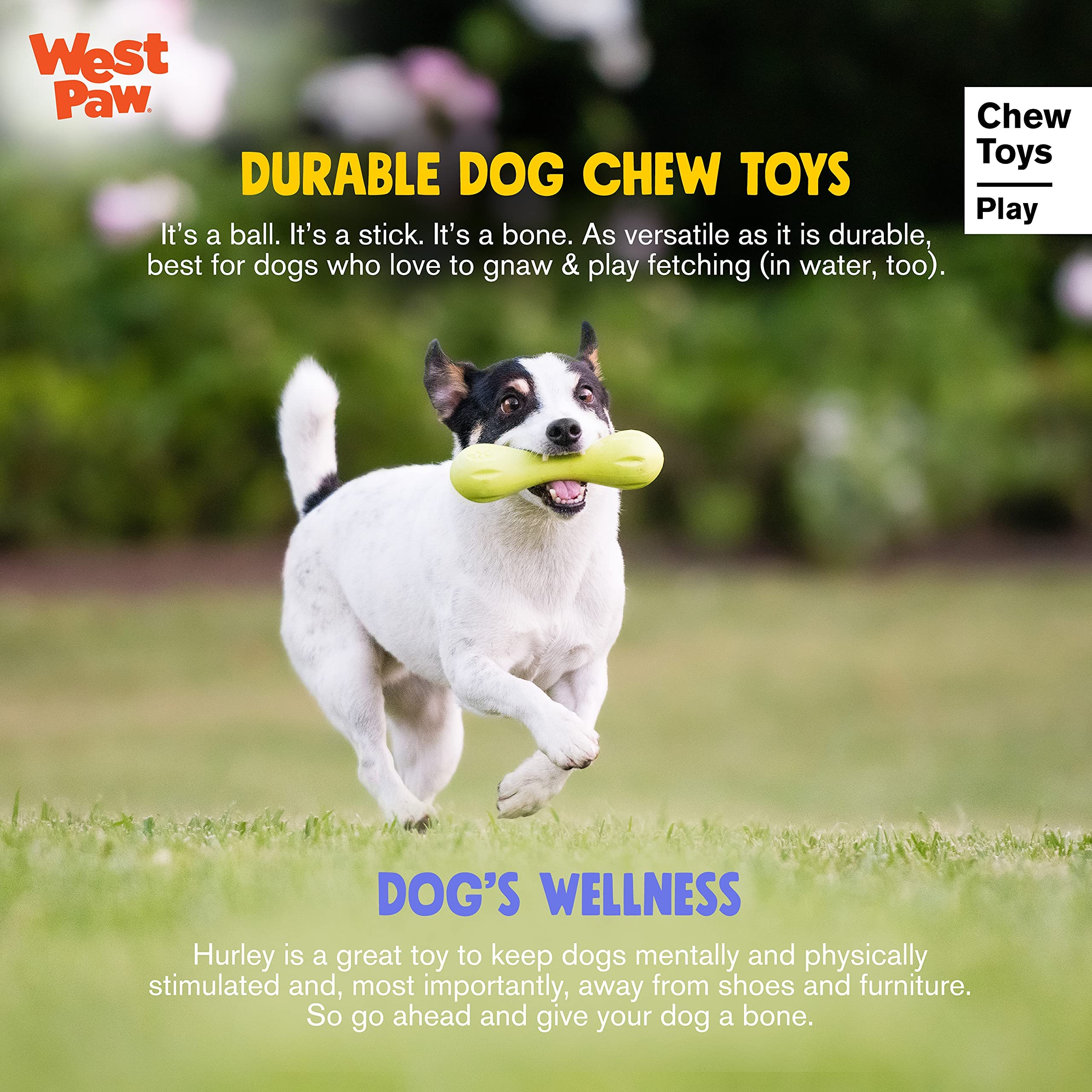 WEST PAW Zogoflex Hurley, seguro para lavavajillas y fácil limpieza.