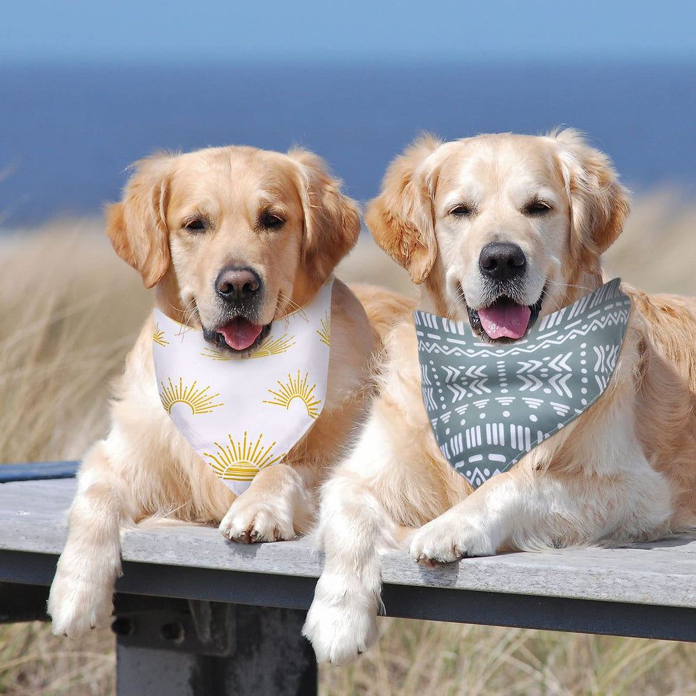 Regalo práctico Whaline bandana para mascotas, perfecto para amigos peludos
