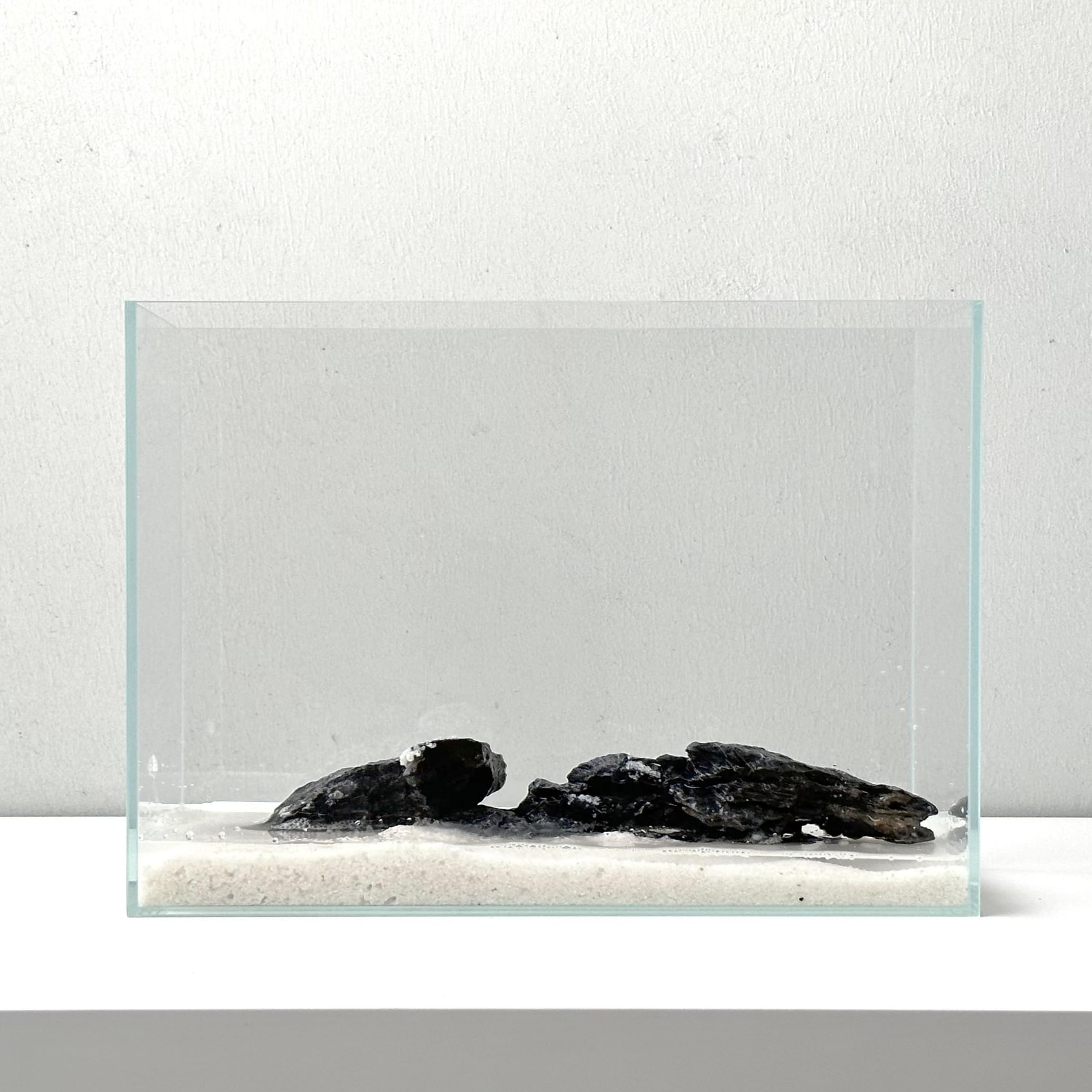 Whalix Nano Aquarium Kit: diseño moderno ideal para escritorio