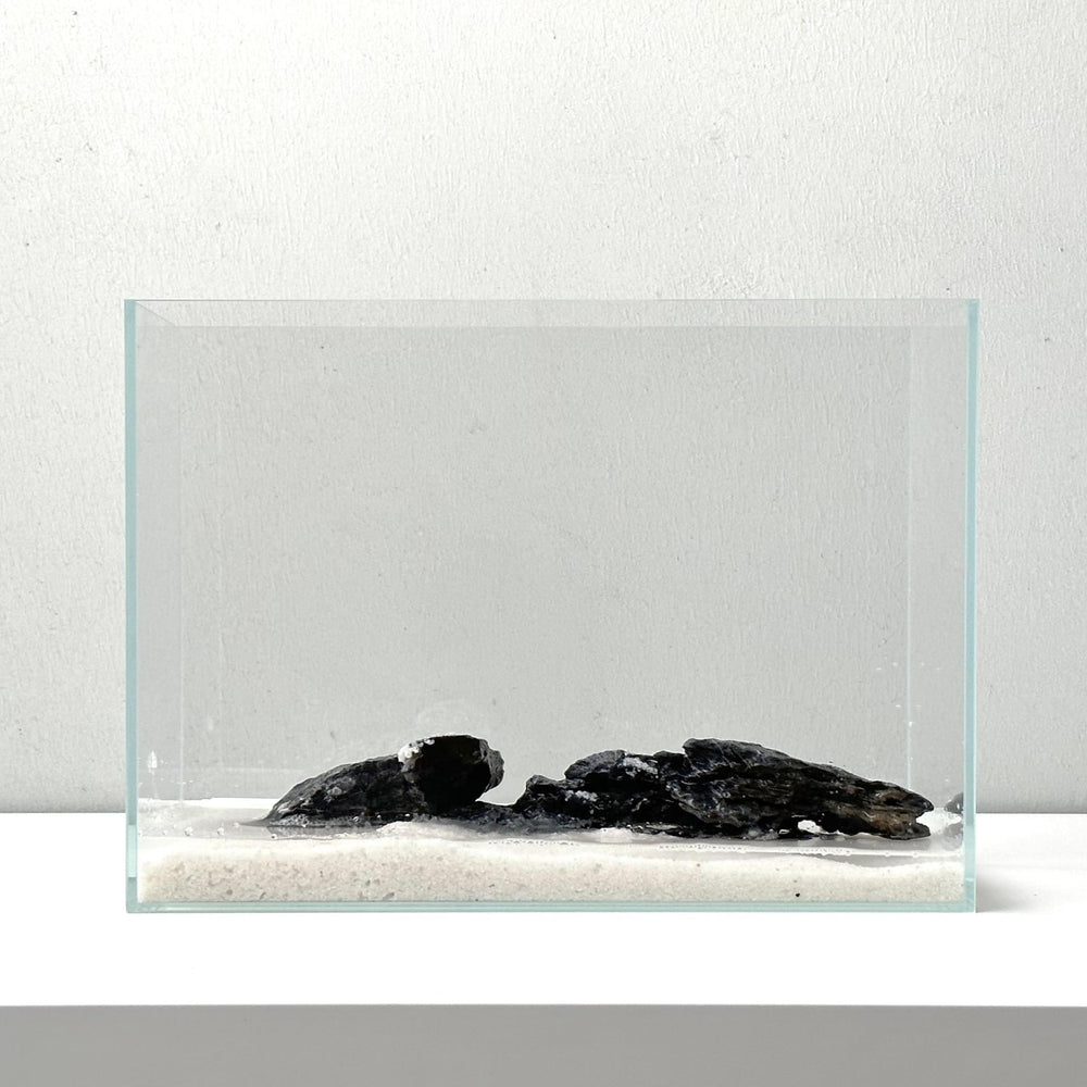 Whalix Nano Aquarium Kit: diseño moderno ideal para escritorio