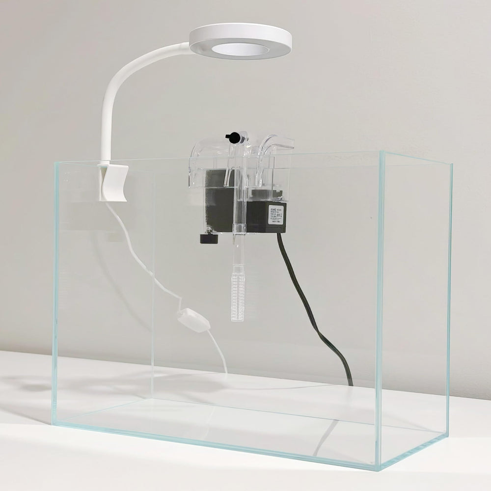 Whalix Nano Aquarium Kit: iluminación LED 360° para resaltar peces