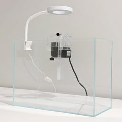 Whalix Nano Aquarium Kit: iluminación LED 360° para resaltar peces