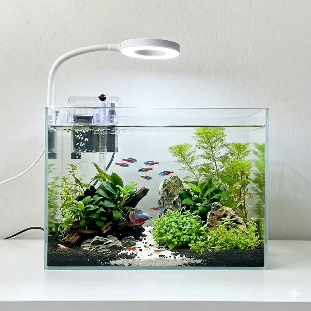 Whalix Nano Aquarium Kit: tanque sin marco para escritorio con vista clara