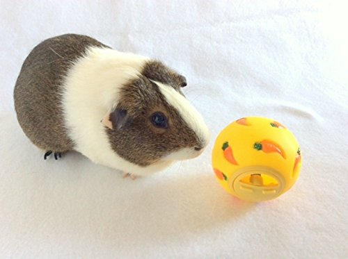 Wheeky bola de tratamiento interactiva para conejos, promueve movimiento y exploración.