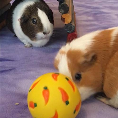Copos ligeros y crujientes de Wheeky, snack proteico para mascotas.