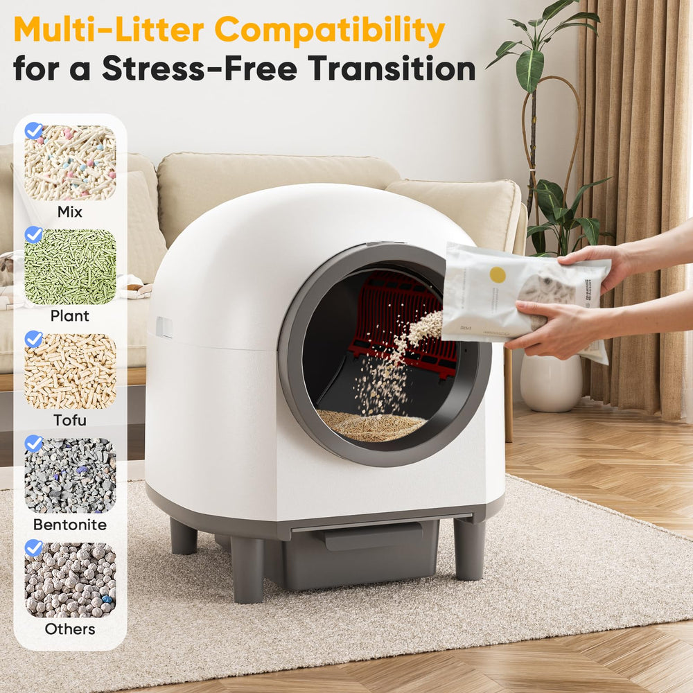 Whiffee acceso senior facilita entrada a gatos mayores