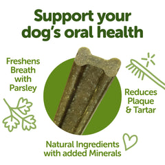 Dog chewing Whimzees Freshzees during playtime to support daily dental routines.