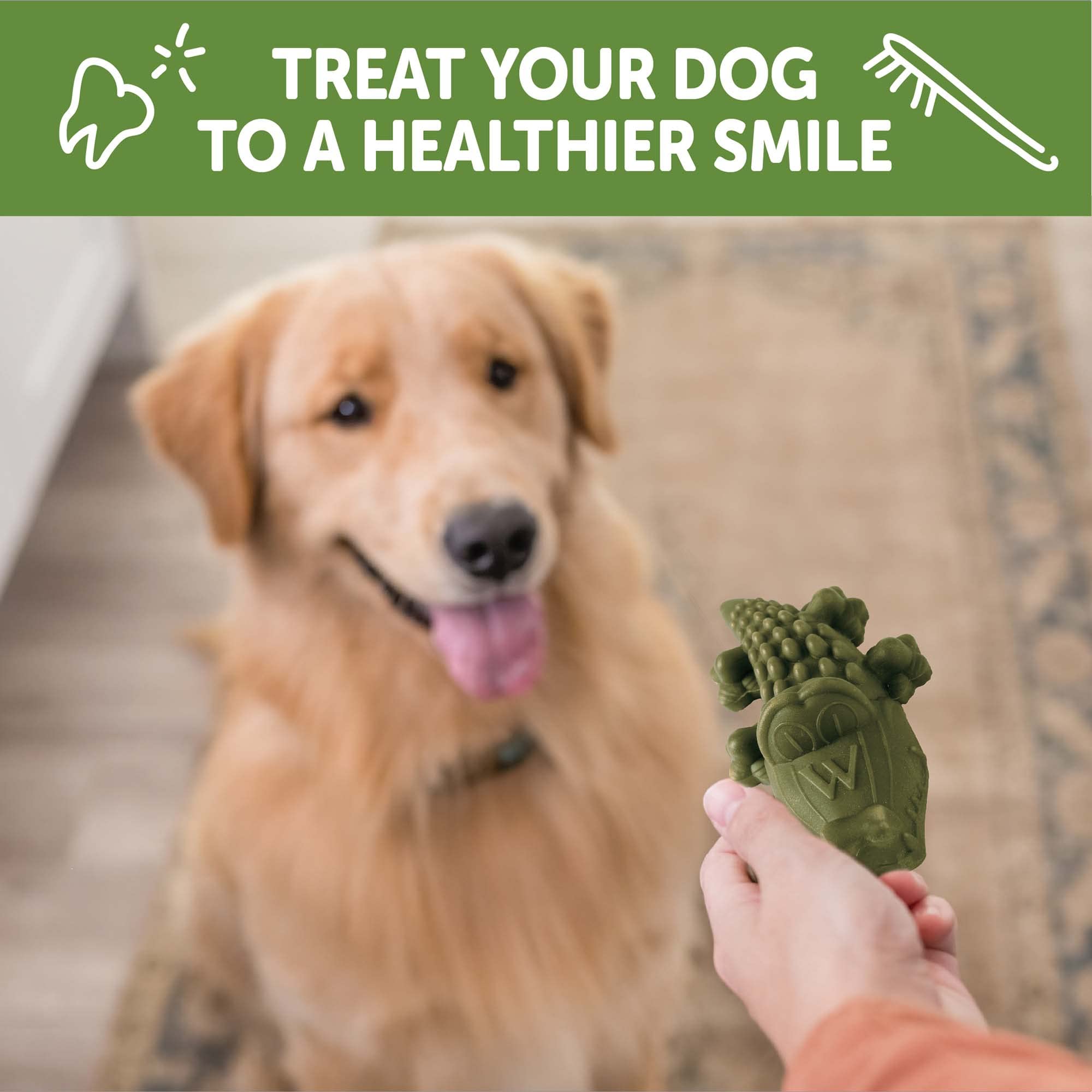 Whimzees Wellness Alligator, tamaño grande, adecuado para perros grandes.