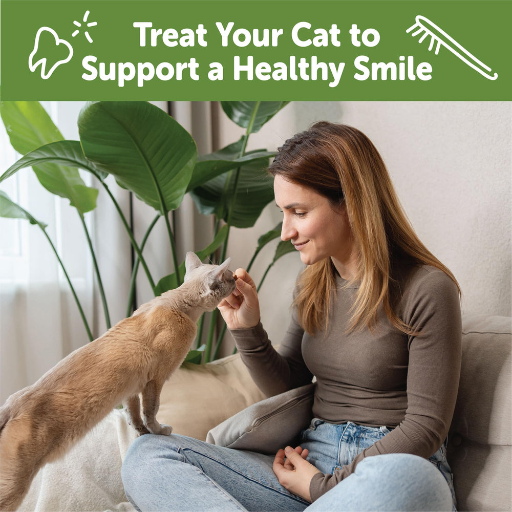 Whimzees Wellness Gato: alimento completo para gatos adultos.