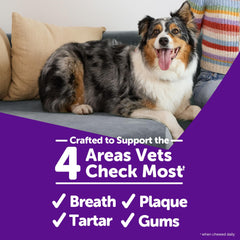 Whimzees Wellness Salchicha Vegetal para perro, reduce placa y mejora higiene dental.