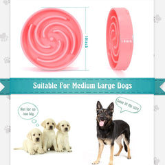 WHIPPY bol design multicolore, stimule l'intérêt du chien lors du repas.