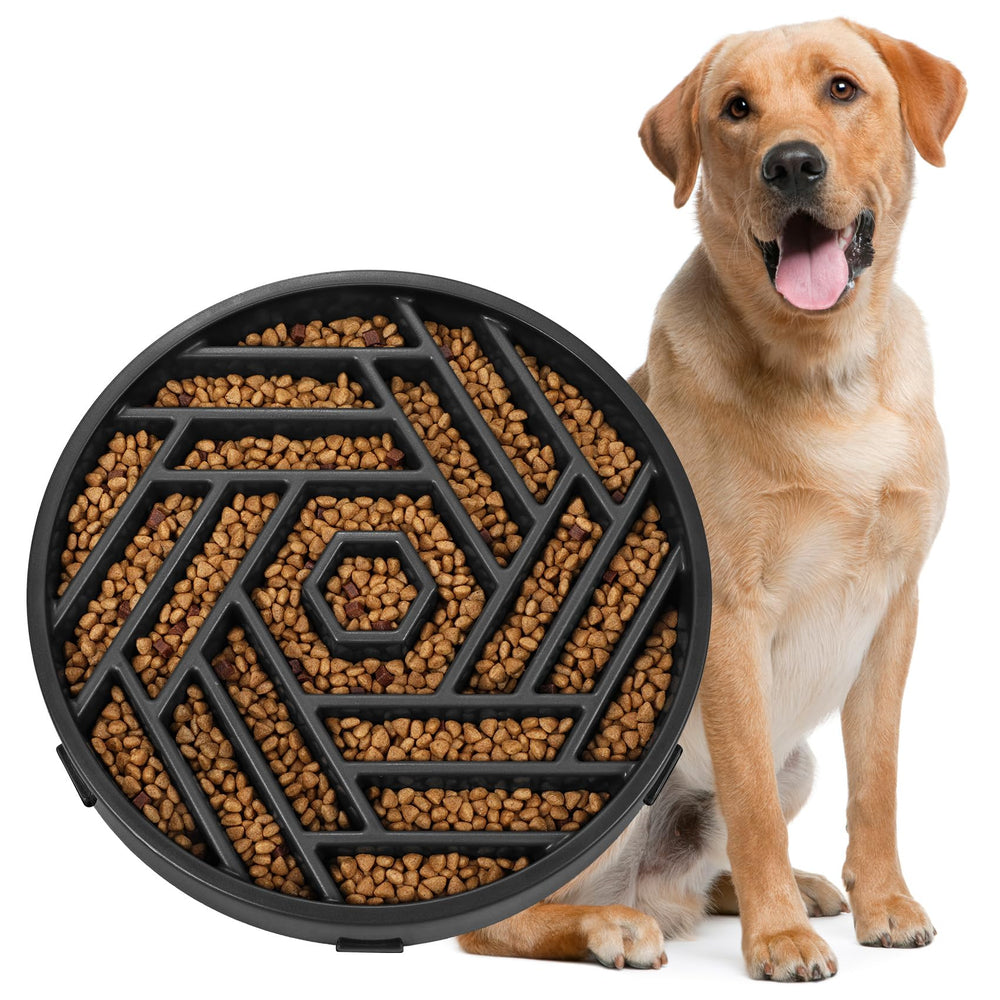WHIPPY lento comedero para perro con rompecabezas, fomenta comer despacio
