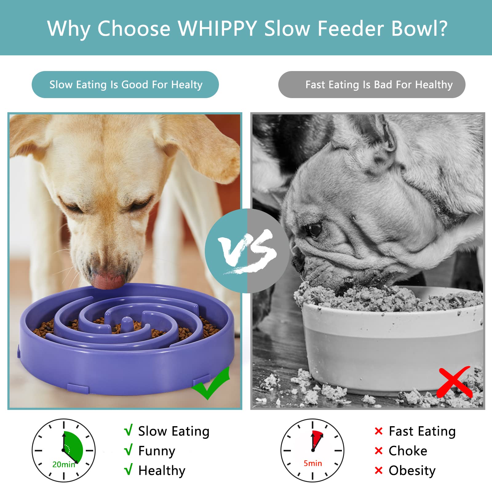 WHIPPY tazón lento con capacidad suficiente para una comida completa.