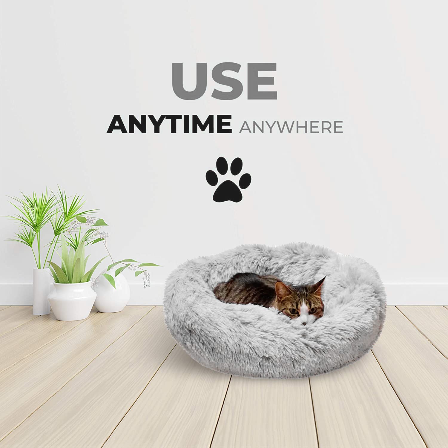 Uso diario Whiskers & Friends: perfecta para convivir en sala de estar.