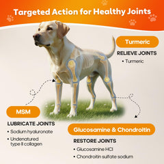 Whiskopia sabor dulce, masticables para perros, promueven movimiento