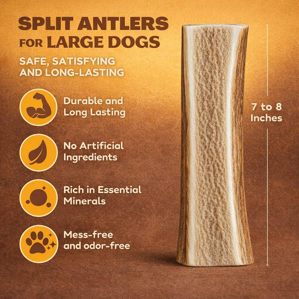 WhiteTail Naturals astas de alce divididas para perro grande, experiencia de masticación controlada.