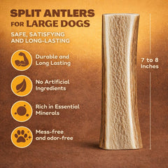 WhiteTail Naturals astas de alce divididas para perro grande, experiencia de masticación controlada.