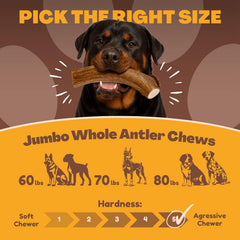 WhiteTail Naturals asta ciervo con corte seguro evita aristas y lesiones