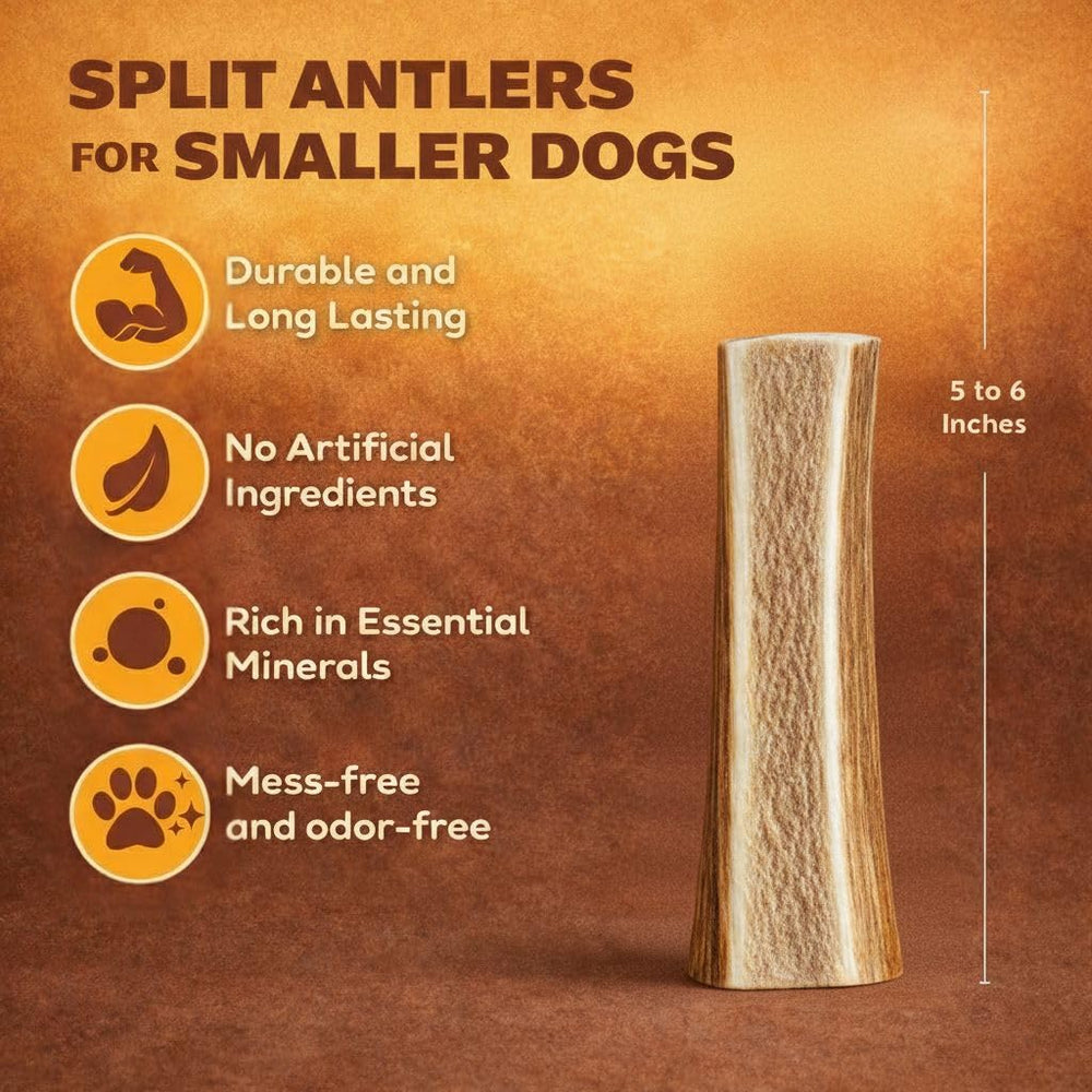WhiteTail Naturals astas divididas con interior rico en nutrientes para mordedores moderados