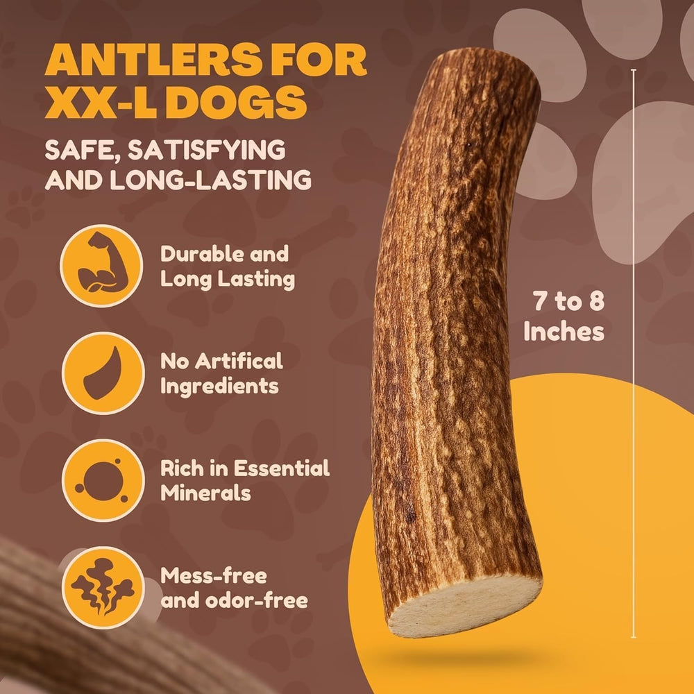 WhiteTail Naturals astas naturales sin olor para interiores.