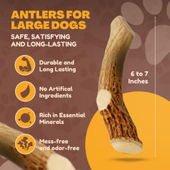 WhiteTail Naturals cuernos de ciervo naturales grandes para perros duraderos
