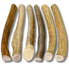 WhiteTail Naturals cuernos para perro, tamaño pequeño, masticación segura.