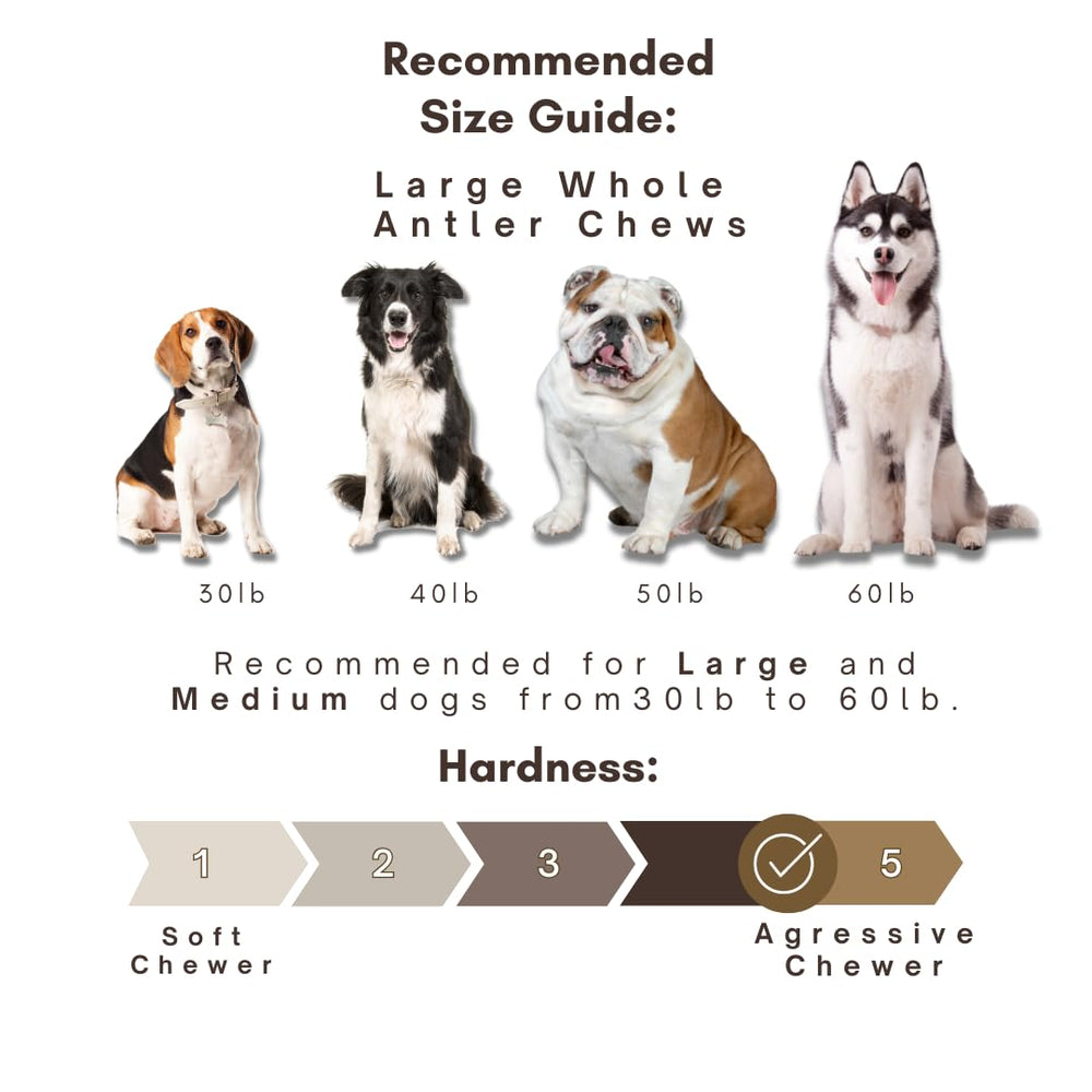 WhiteTail Naturals hechas en EE.UU., calidad artesanal para perros activos.