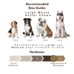 WhiteTail Naturals hechas en EE.UU., calidad artesanal para perros activos.