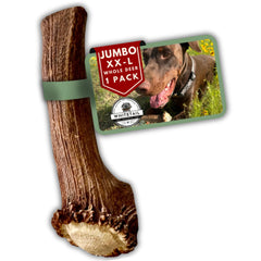WhiteTail Naturals jumbo XXL, astas de ciervo para perro grande, masticación duradera.