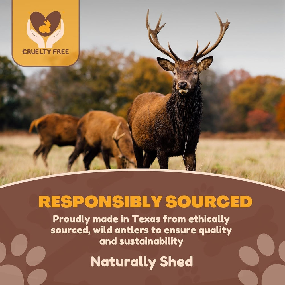 WhiteTail Naturals minerales calcio y zinc en la asta.