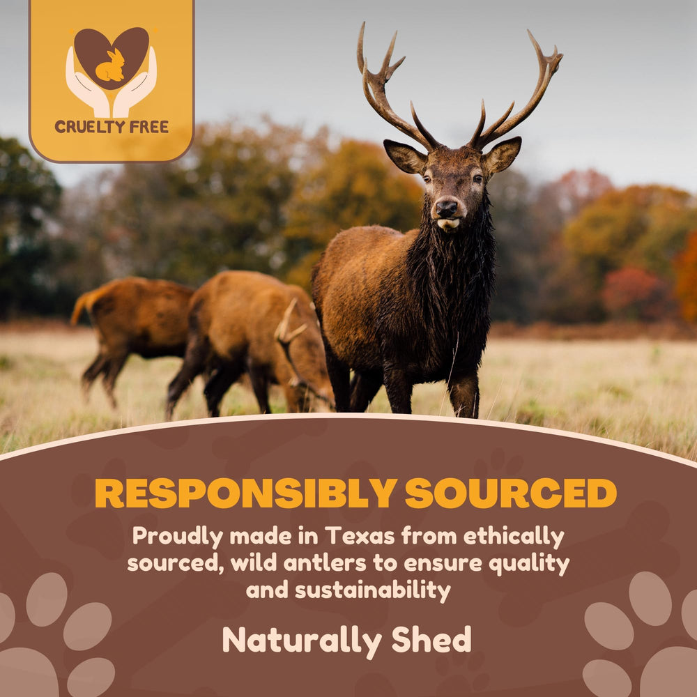 WhiteTail Naturals mordedor de ciervo cortado manualmente para masticadores fuertes