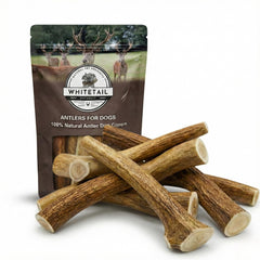 WhiteTail Naturals pack 1 libra de astas enteras, masticación duradera para perros grandes