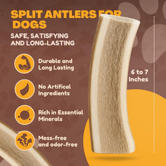WhiteTail Naturals tamaño 6 a 7 pulgadas, perfecto para perros medianos y grandes