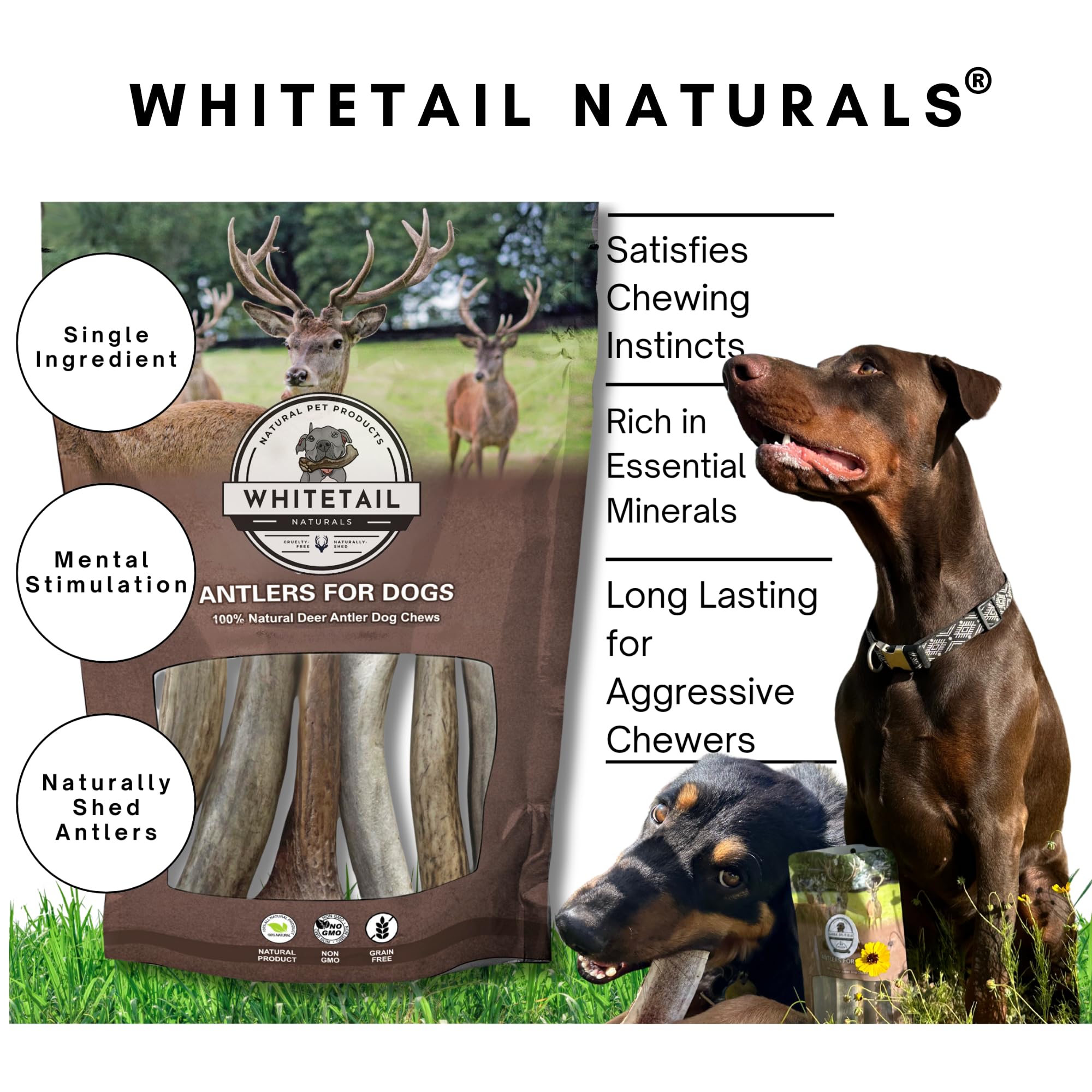 WhiteTail Naturals masticables naturales para perros, aptos para uso diario en casa.