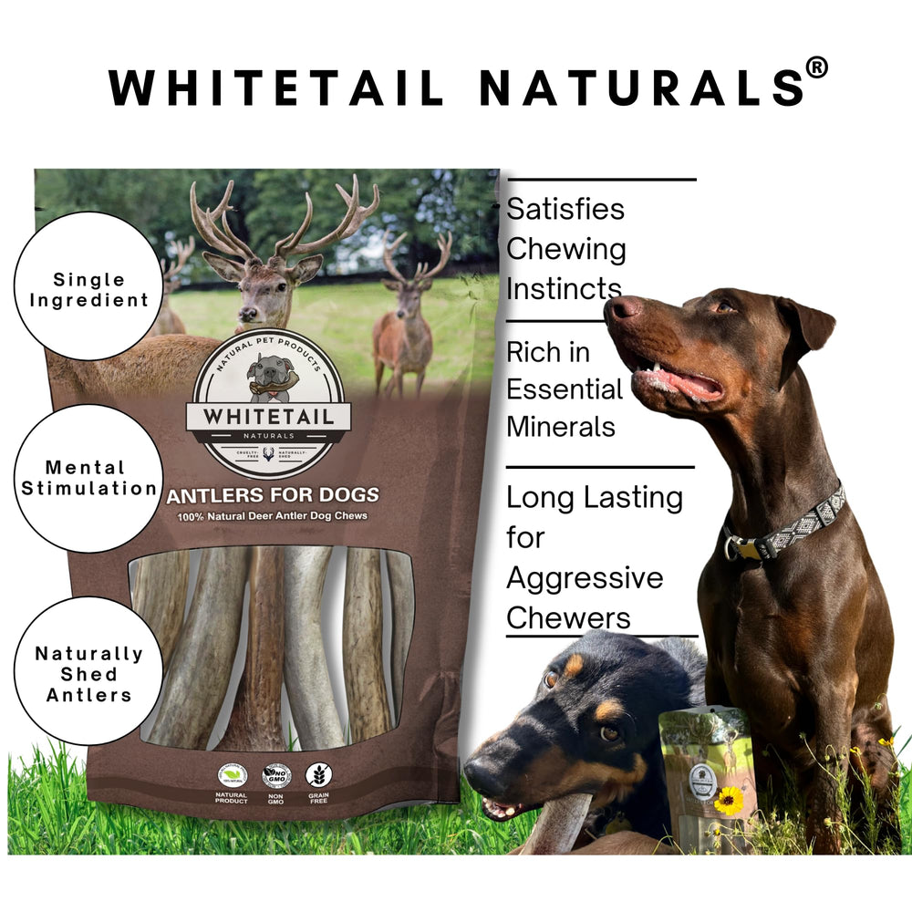 WhiteTail Naturals masticables naturales para perros, aptos para uso diario en casa.